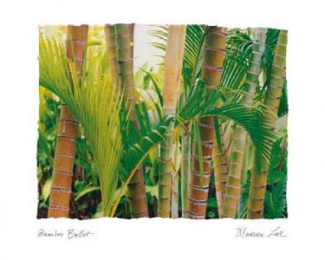 Bamboo Ballet Canvas Art - Maureen Love (20 x 24)