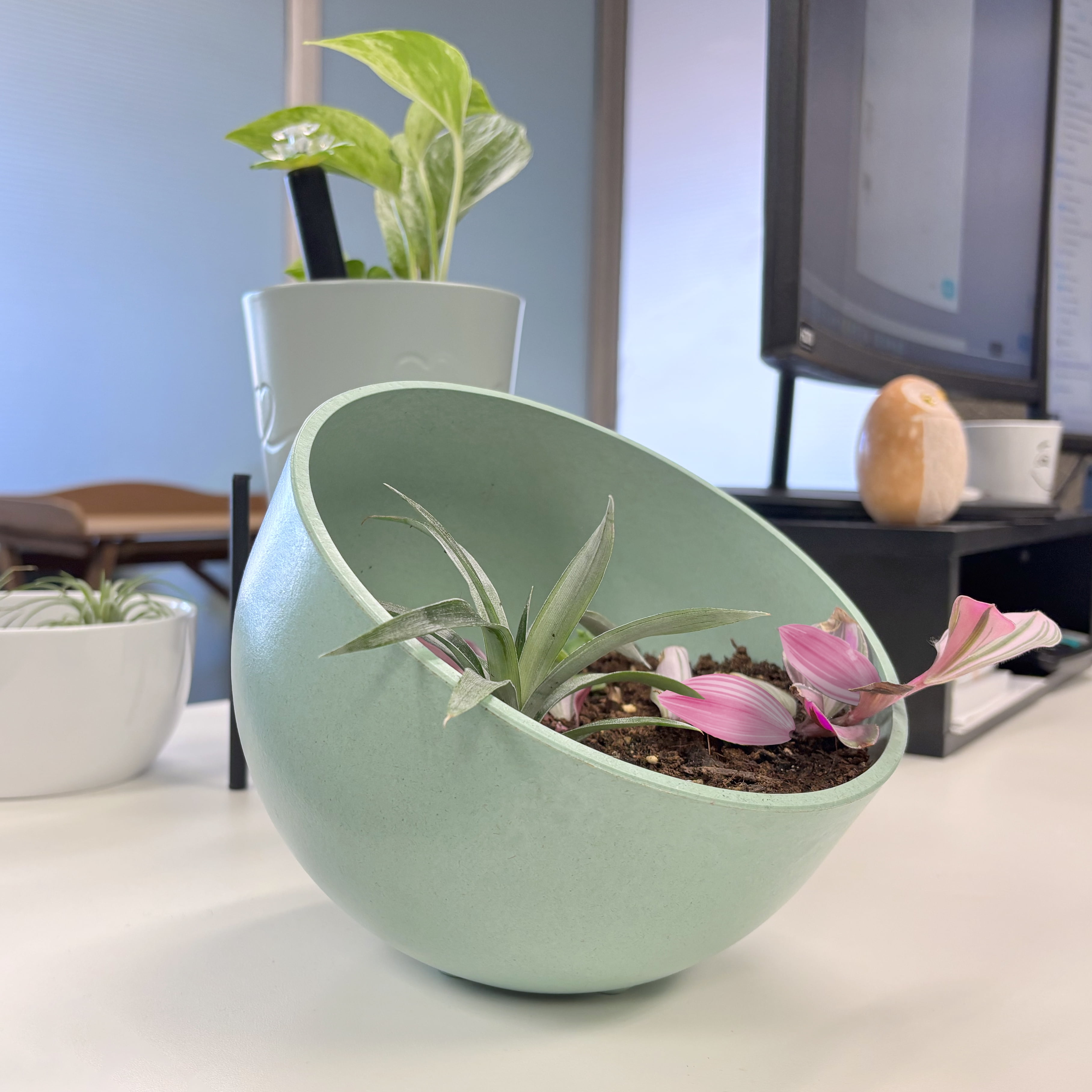 Seafoam Green 7" Orbital Bamboo Fiber Planter