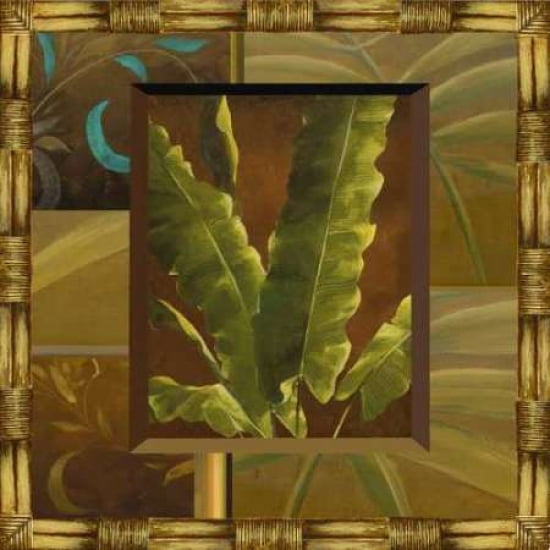 Bamboo Border I Canvas Art - Steve Butler (24 x 24)