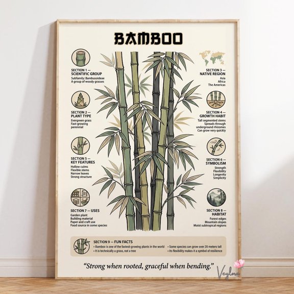 Bamboo Botanical Zen Wall Decor