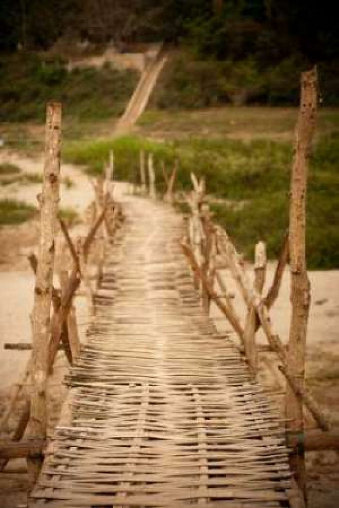 Bamboo Bridge Canvas Art - Erin Berzel (24 x 36)