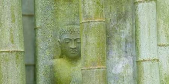 Bamboo Buddha Canvas Art - Cora Niele (24 x 48)