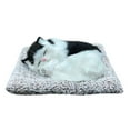 thumbnail image 1 of Bamboo Charcoal Simulation Cat with Sound, 10.6x7.5 Inch Deodorizing Plush Toy with Cloth Mat for 3+ Years, 1 of 3