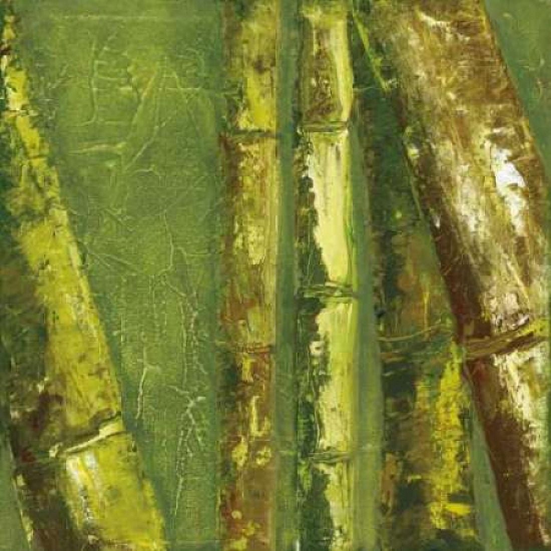 Bamboo Columbia I Canvas Art - Tita Quintero (24 x 24)
