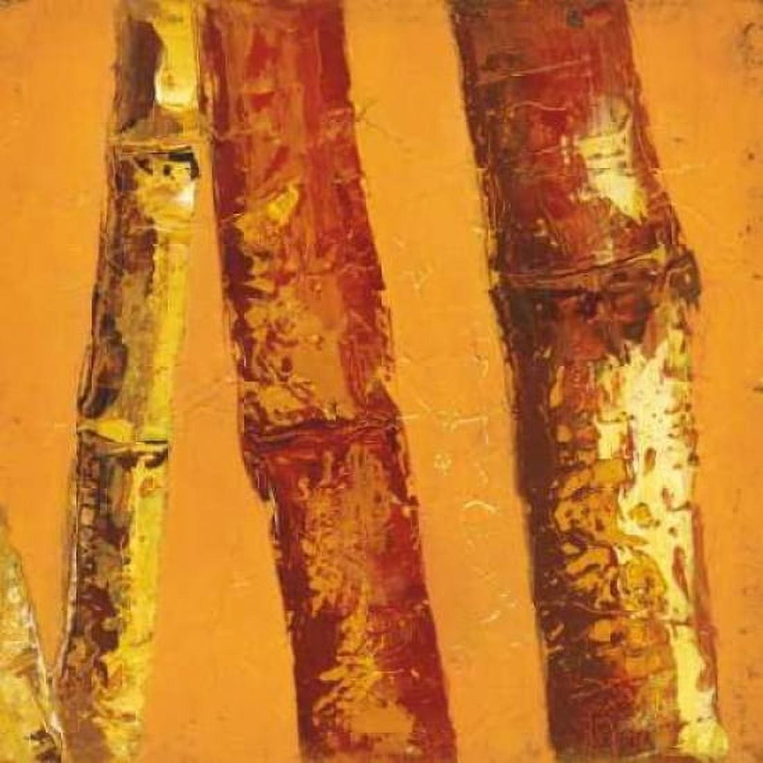 Bamboo Columbia II Canvas Art - Tita Quintero (24 x 24)
