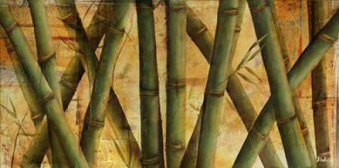 Bamboo Forest I Canvas Art - Patricia Pinto (10 x 20)