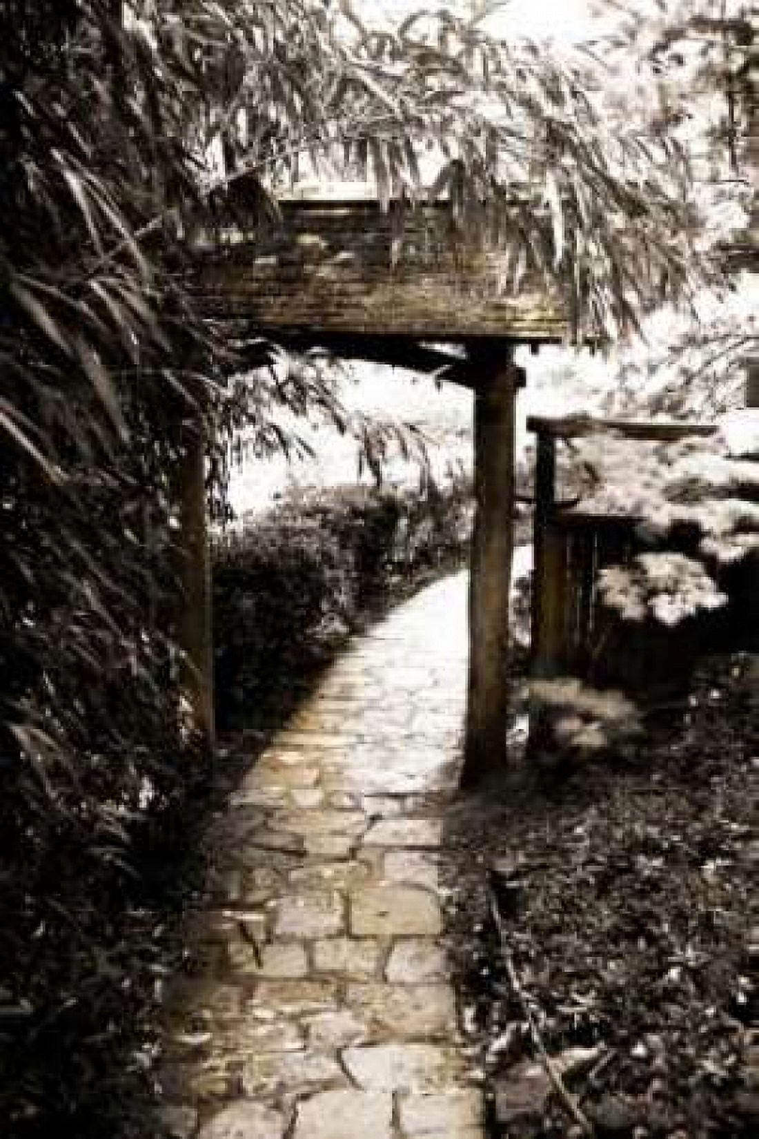 Bamboo Garden I Canvas Art - Alan Hausenflock (24 x 36)