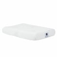 thumbnail image 1 of Petique Eco Friendly Memory Foam Mattress Pad, 1 of 2