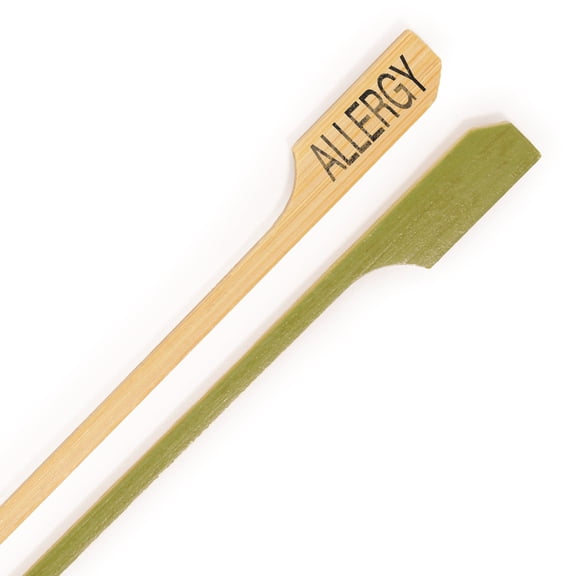 BambooMN Food Appetizer Marking Bamboo Paddle Skewer Picks - ALLERGY - 3.5" (8.9cm) - 300 Pieces