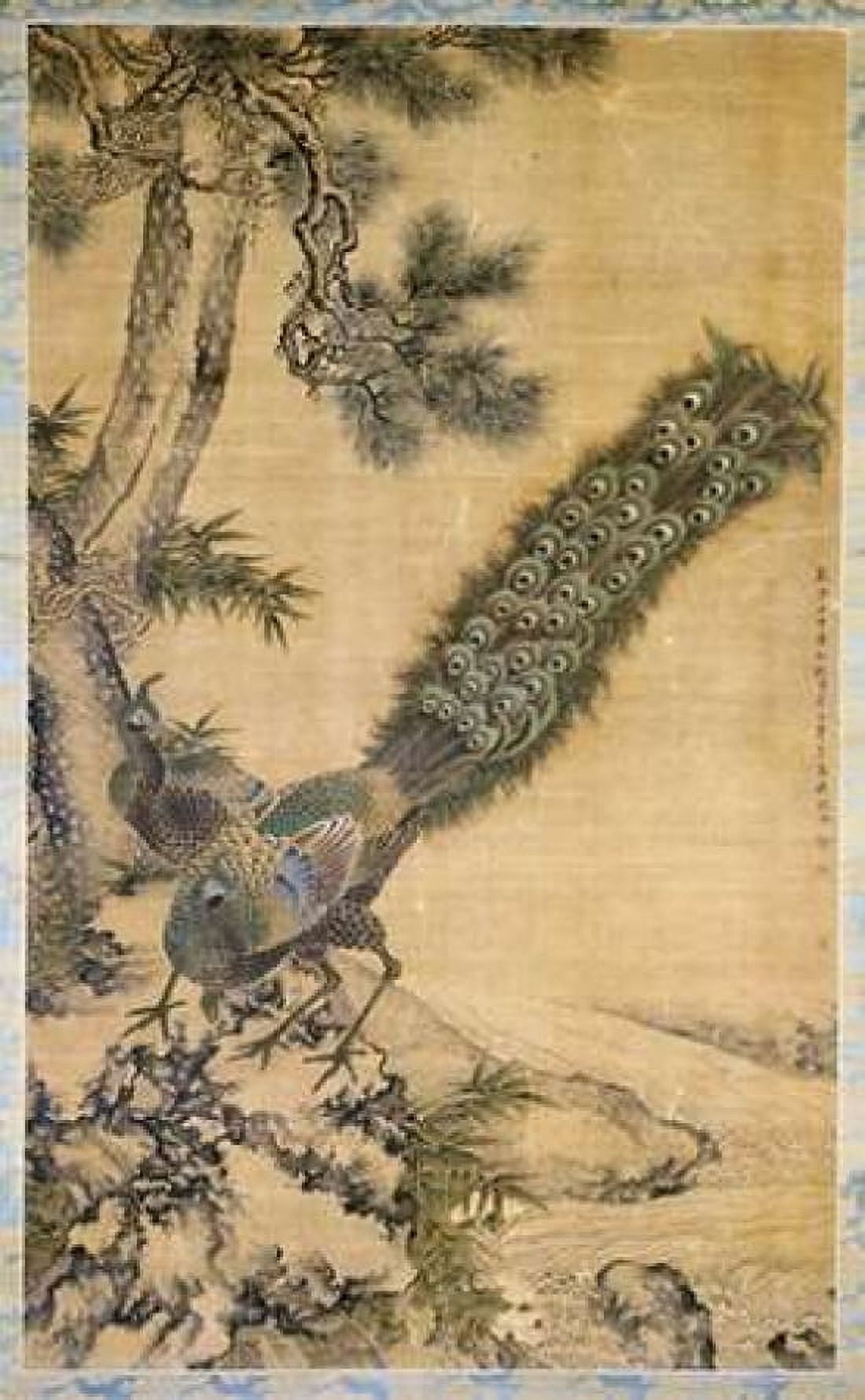 Bamboo Pine and Peacocks Canvas Art - Shen Quan (12 x 18)