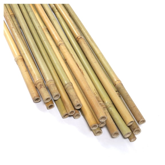 Bamboo Plant Climbing Stakes - 20 Pack 6FT - Natural Plant Support for Indoor & Outdoor Plants - Garden Trellis for Climbing Vines, Flowers, & Vegetables