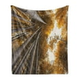 thumbnail image 1 of Bamboo Print Soft Flannel Fleece Throw Blanket, Bottom to Top Bamboo Grove Fall Landscape Potential for Improvement, Cozy Plush for Indoor and Outdoor Use, 70" x 90", Yellow Brown, by Ambesonne, 1 of 5