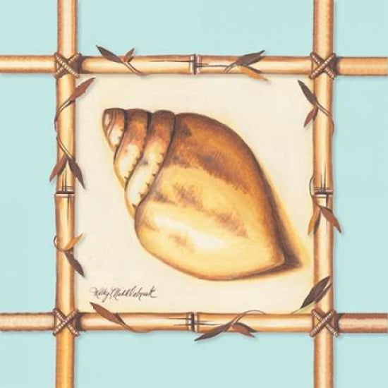 Bamboo Seashell I Canvas Art - Kathy Middlebrook (24 x 24)