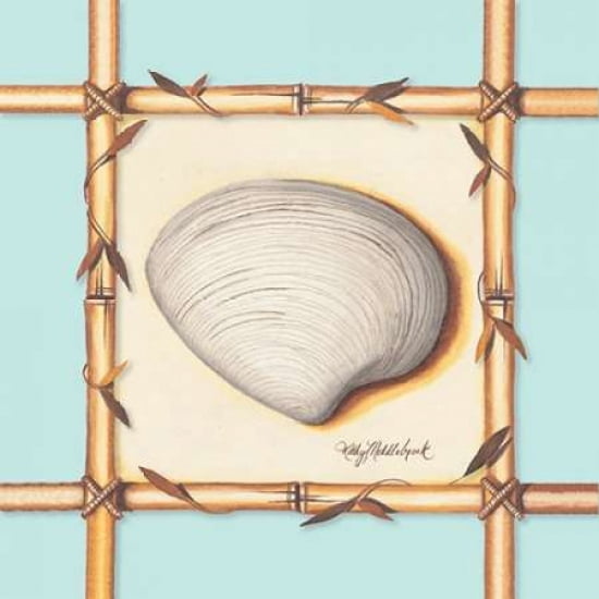 Bamboo Seashell II Canvas Art - Kathy Middlebrook (24 x 24)