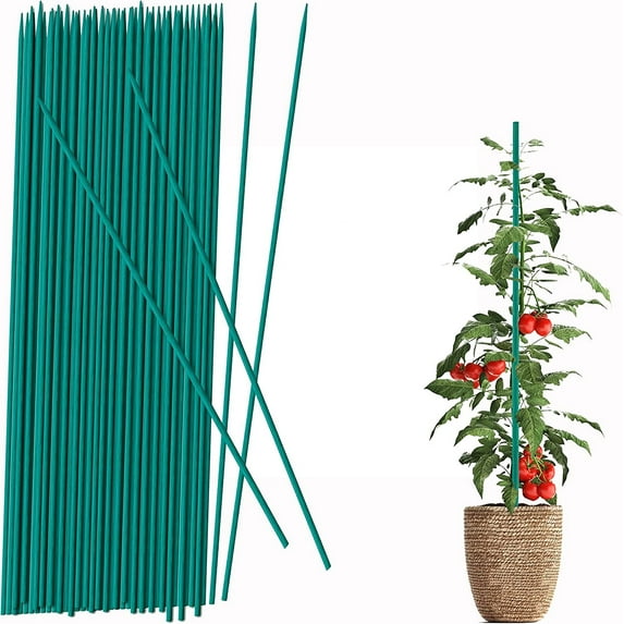 Bamboo Sticks Plant Stakes, Happon 50 Pack Green Plant Support Sticks for Indoor Plants, Sturdy Bamboo Stakes, Floral Plant Support for Indoor and Outdoor Plants (15 inches)