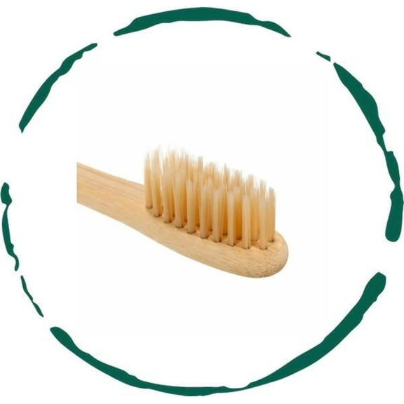 Bamboo Toothbrush 2-Pack. Eco-Friendly Wood Toothbrush Bamboo Nylon Fiber.
