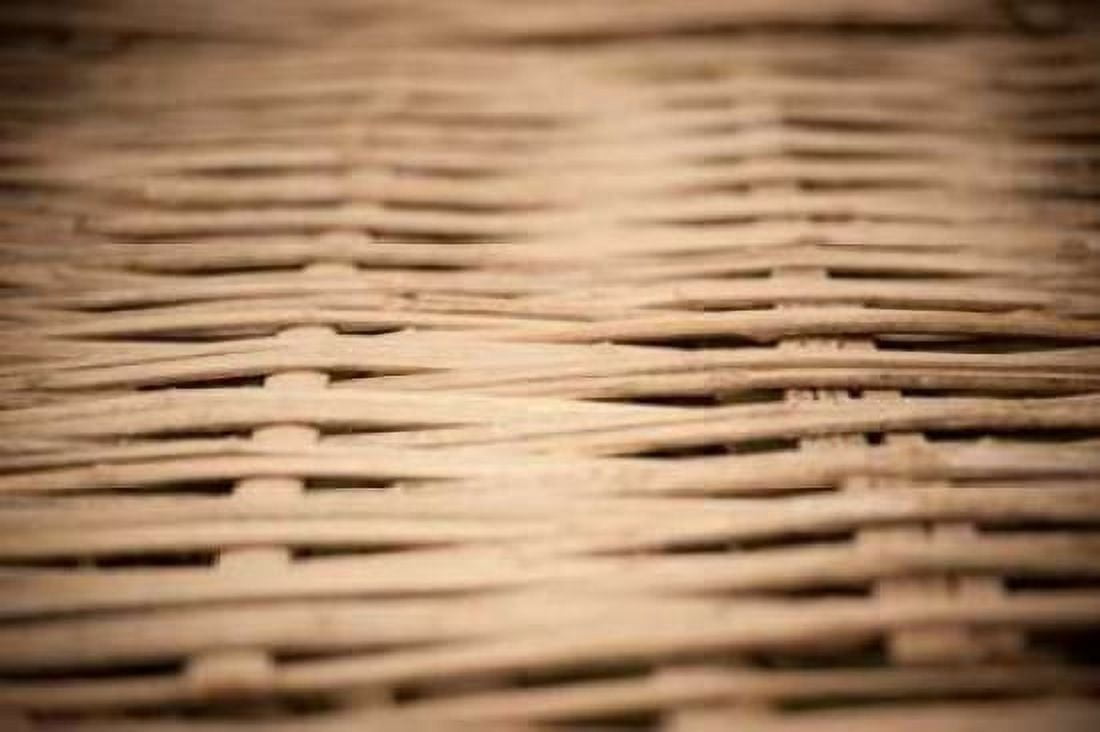 Bamboo Weave Canvas Art - Erin Berzel (12 x 18)