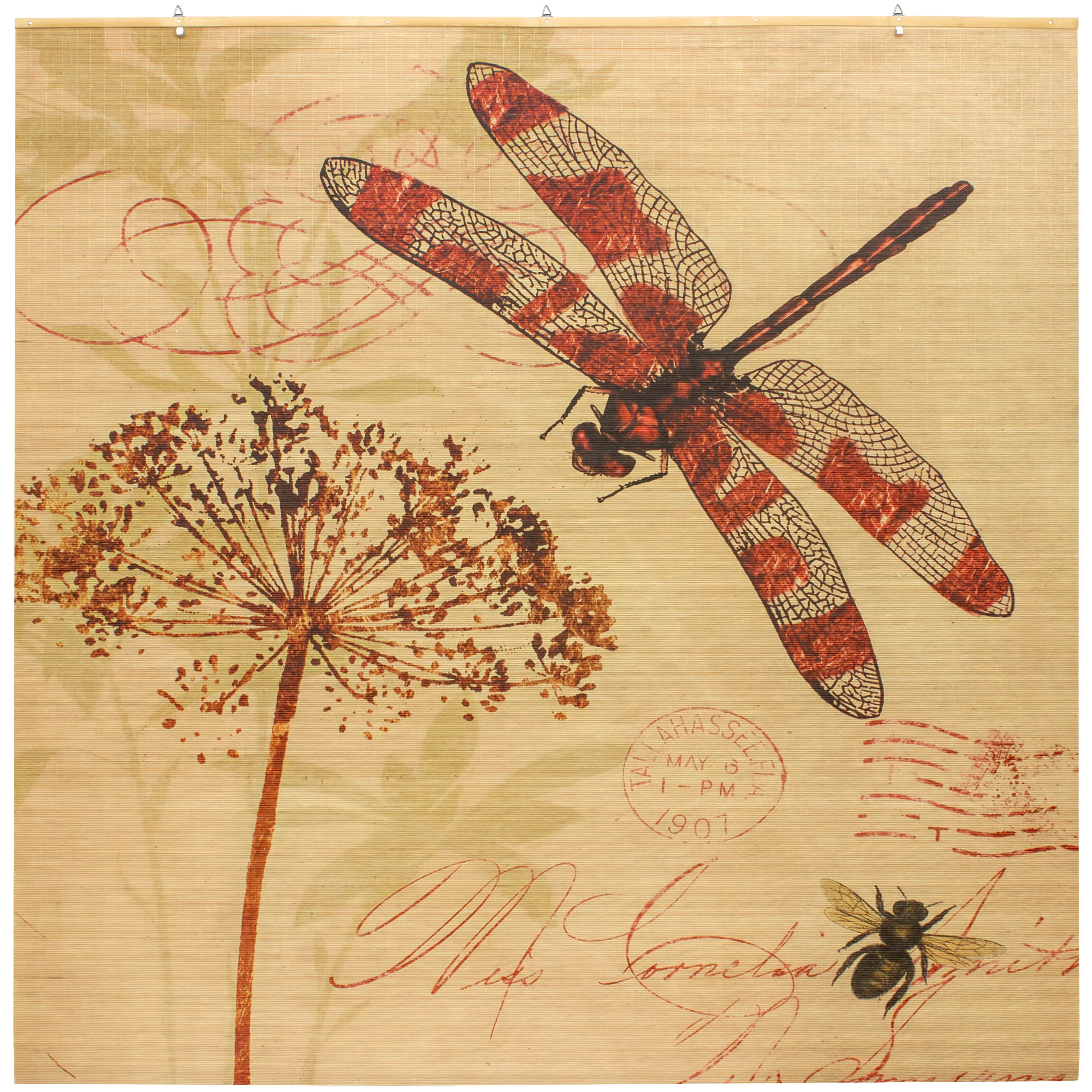 Red Lantern Bamboo Window Shade Blind - Dragonfly 72" W