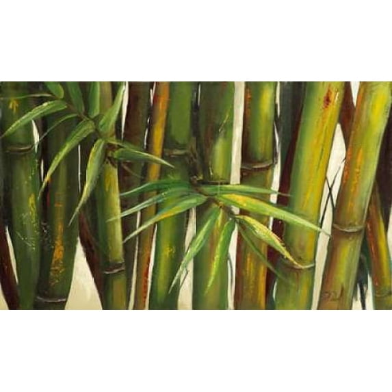 Bamboo on Beige II Poster Print by Patricia Pinto (24 x 36)