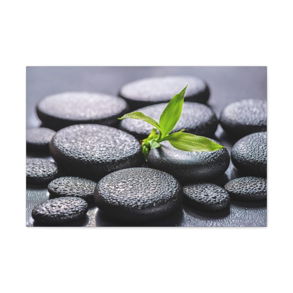 Bamboo on Zen Stones Forest Floral Nature Photography Canvas Wall Art for Home Decor Ready-to-Hang