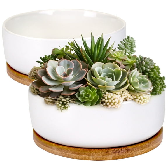 BambooMN Ceramic Succulent Planter Pots - 1 Pot - Round Bowl - with Bamboo Tray - White - 6.49"