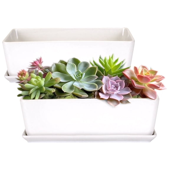 BambooMN Ceramic Succulent Pots - 1 Pot - Short Rectangle - with Ceramic Tray - White - 10.15"