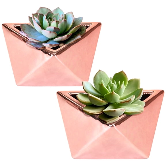 BambooMN Ceramic Succulent Pots - 2 Pots - Gem Shape - Copper Color - 4.75"