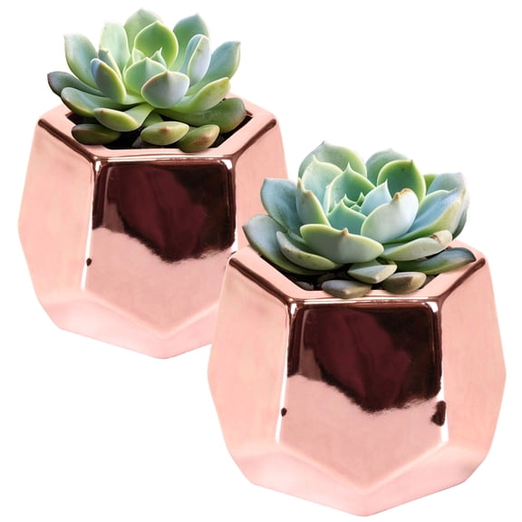 BambooMN Ceramic Succulent Pots - 2 Pots - Hexagonal - Copper - 3.5" Diameter
