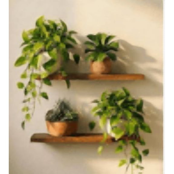 Bamworld 2 Pack Wooden Wall Plant stand, Wall Hanging Plant Holders for Indoor Plants Flower Pot Hanging Shelves for Bedroom Living Room Porch Balcony Outdoor Decor