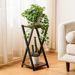 Dazone Demountable Metal 2 Tiers Plant Rack Indoor Floor Model Potted Plant Stand Black Dazone Demountable Metal 2 Tiers Plant Rack Indoor Floor Model Potted Plant Stand Black