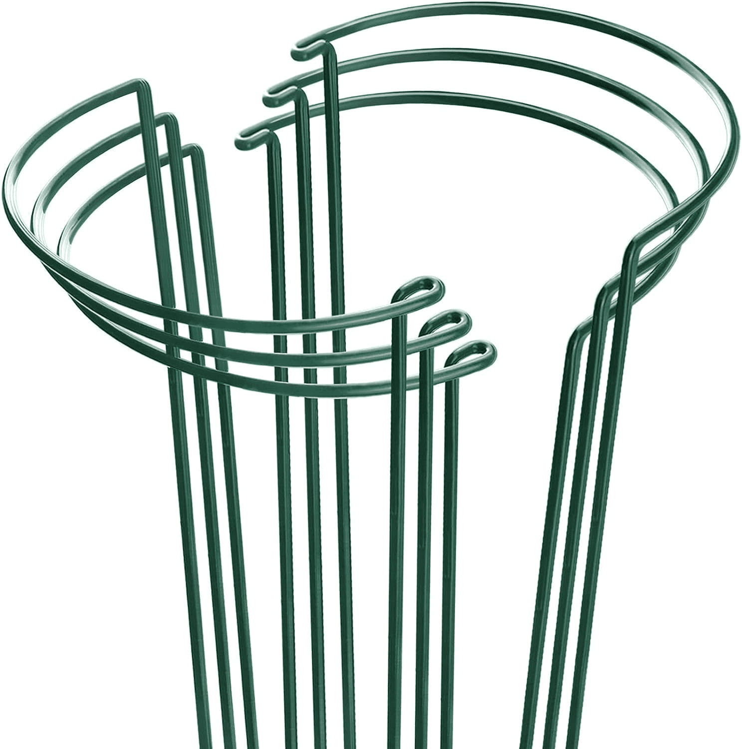 Bamworld 6 Pack Plant Support Stakes, Half Round Metal Garden Plant
