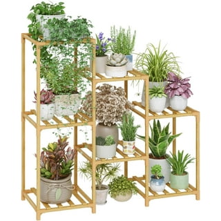 Plant deals display table