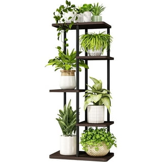 Plant Stands Tall 