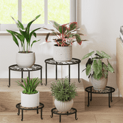 Bamworld 5-Pack Black Metal Plant Stand for Indoor Outdoor，Rustproof Flower Stand for Planter Outdoor Plant Rack for Patio & Garden Decor-Installation-free version