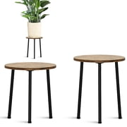 Bamworld Plant Stand 2 pack, Wooden Plant Stands with Metal Legs, Indoor Outdoor Tiered Plant Table, Modern Plant Display Shelf for Multiple Plants in Living Room, Balcony, Garden