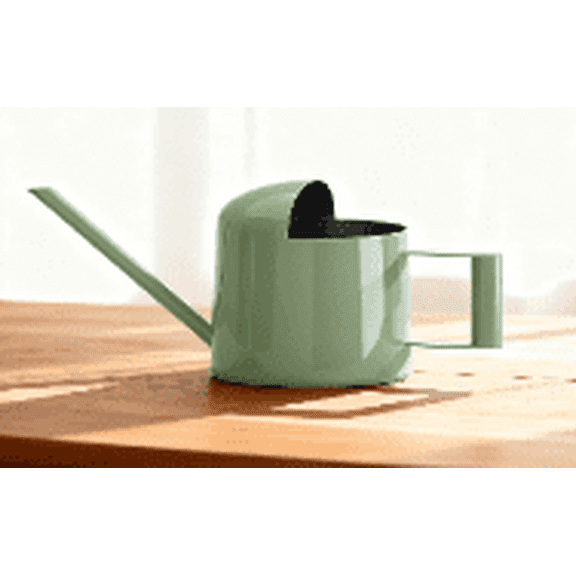 Bamworld Small Watering Can Indoor Outdoor Plant Avocado green Metal Stainless Steel Long Spoutt Flowers Watering Cans for House Garden Plants 10OZ Watering Bottle Cute Decorative for Bonsai