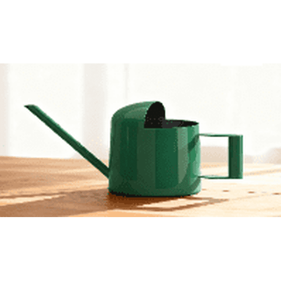 Bamworld Small Watering Can Indoor Outdoor Plant Dark green Metal Stainless Steel Long Spoutt Flowers Watering Cans for House Garden Plants 10OZ Watering Bottle Cute Decorative for Bonsai