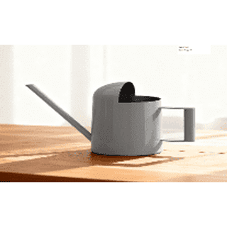 Bamworld Small Watering Can Indoor Outdoor Plant Gray Metal Stainless Steel Long Spoutt Flowers Watering Cans for House Garden Plants 10OZ Watering Bottle Cute Decorative for Bonsai