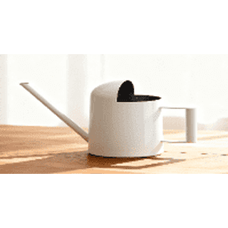 Bamworld Small Watering Can Indoor Outdoor Plant White Metal Stainless Steel Long Spoutt Flowers Watering Cans for House Garden Plants 10OZ Watering Bottle Cute Decorative for Bonsai