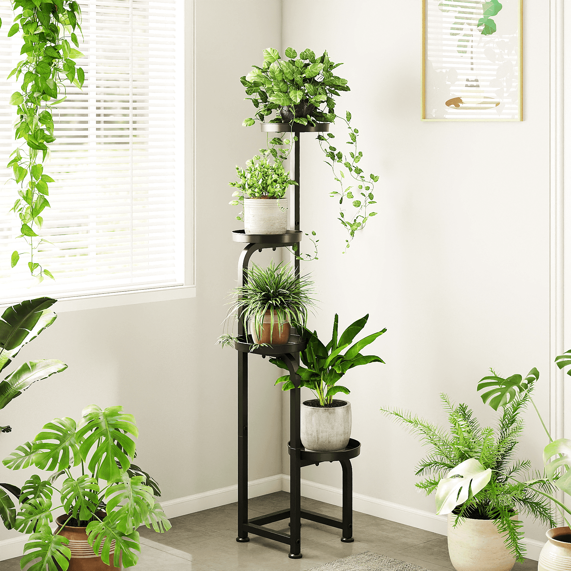 large indoor palm plants 7-10FT Adonidia Palm main image 1
