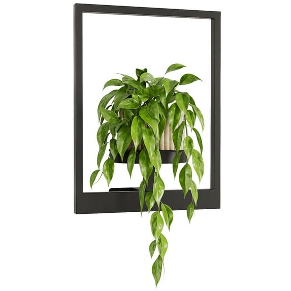 Bamworld Wall Hanging Planters for Indoor Plants Plant Hanger Indoor Outdoor Window Plant Shelves Hanging Plant Holder Wall-Mounted Plant Rack Black Metal Room Decor 1 Pack(Pot &Plant Not Included)