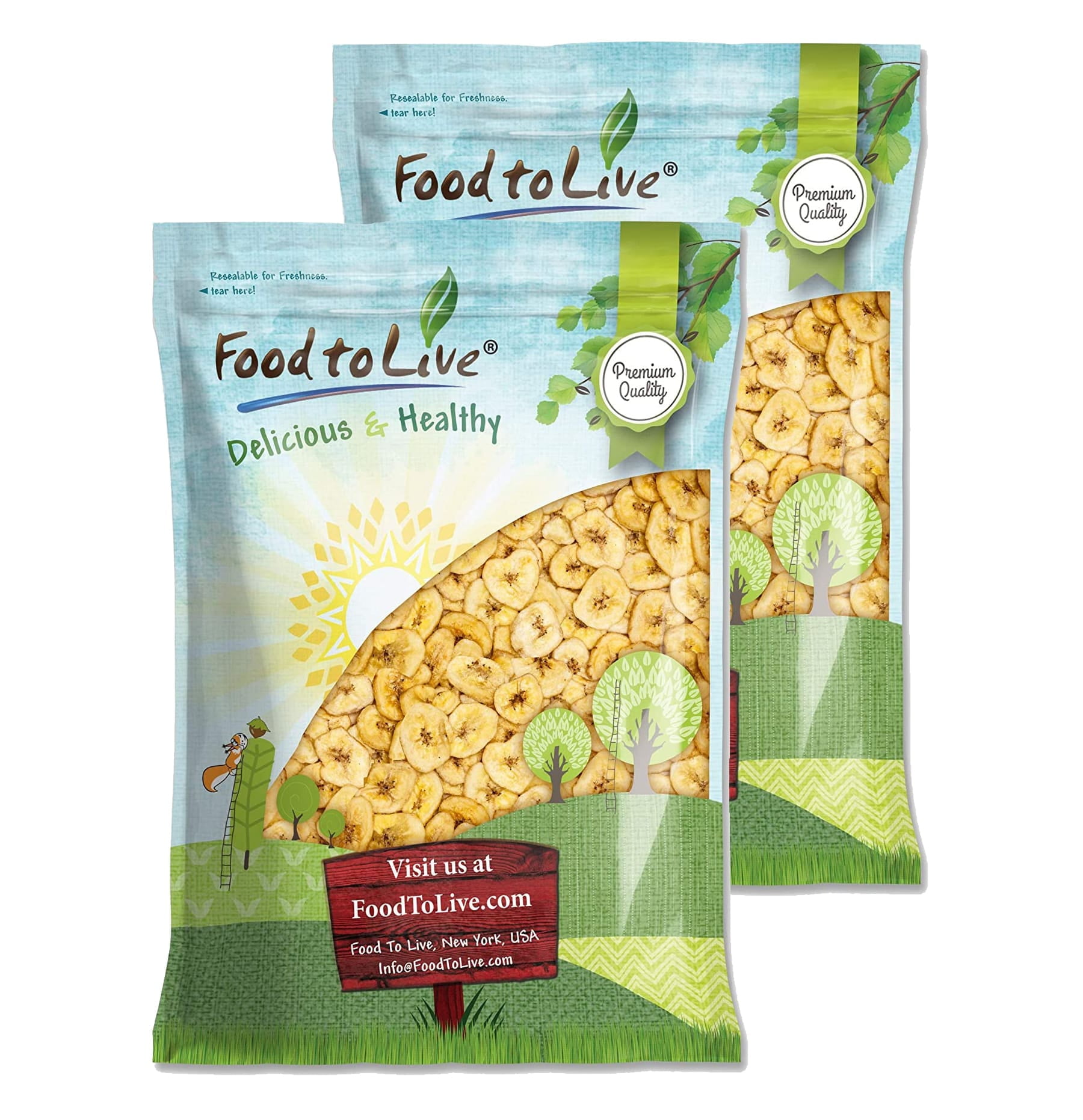 Banana Chips, 9 Pounds - Kosher, Vegan - by Food to Live