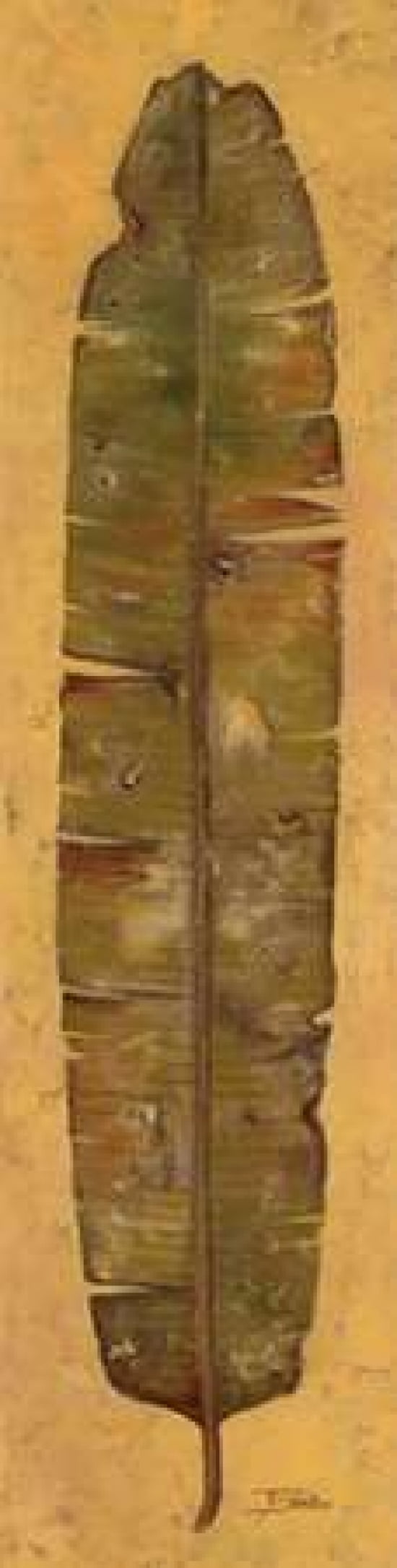 Banana Leaf II Canvas Art - Patricia Pinto (12 x 36)