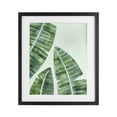thumbnail image 1 of Stupell Industries Banana Leaf Tropics Black Framed Print Under Glass, design by Camila Juncos, 21 x 17, 1 of 10