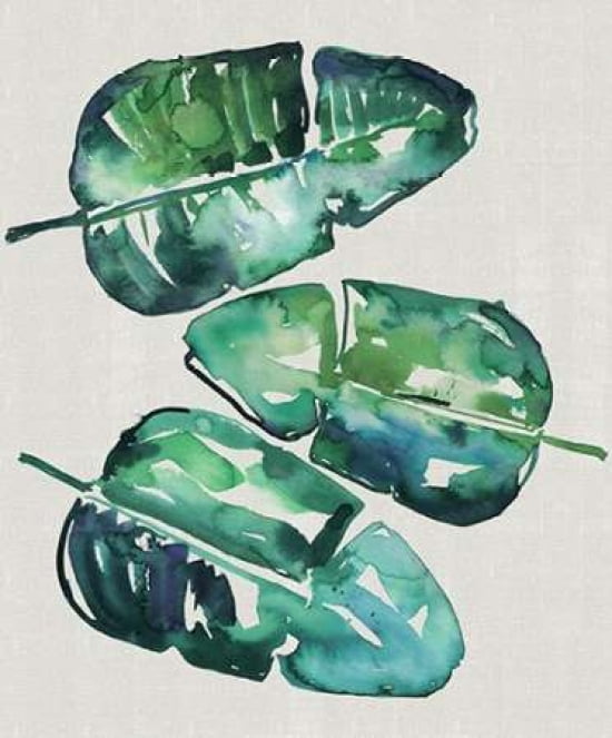 Banana Leaves Canvas Art - Summer Thornton (20 x 24)