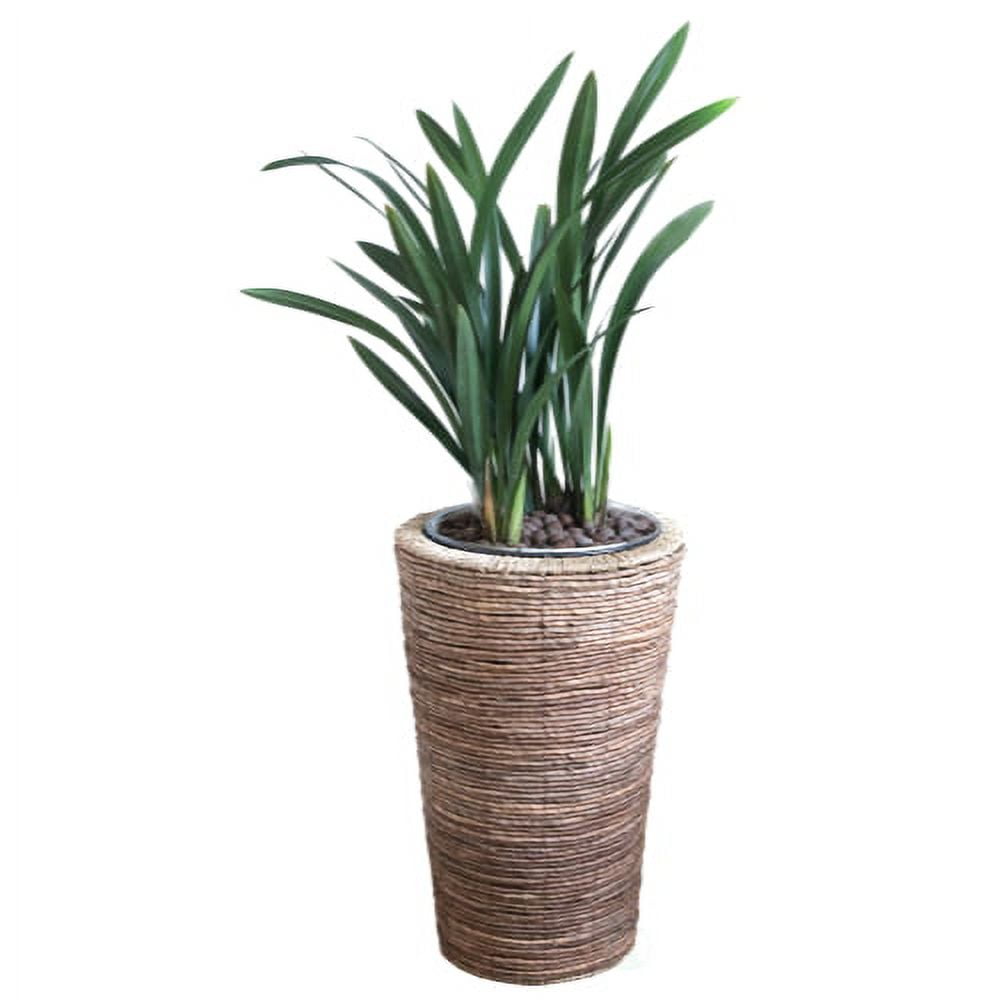 Banana Rope Wicker Indoor Planter Pot with Metal Pot Insert, Large
