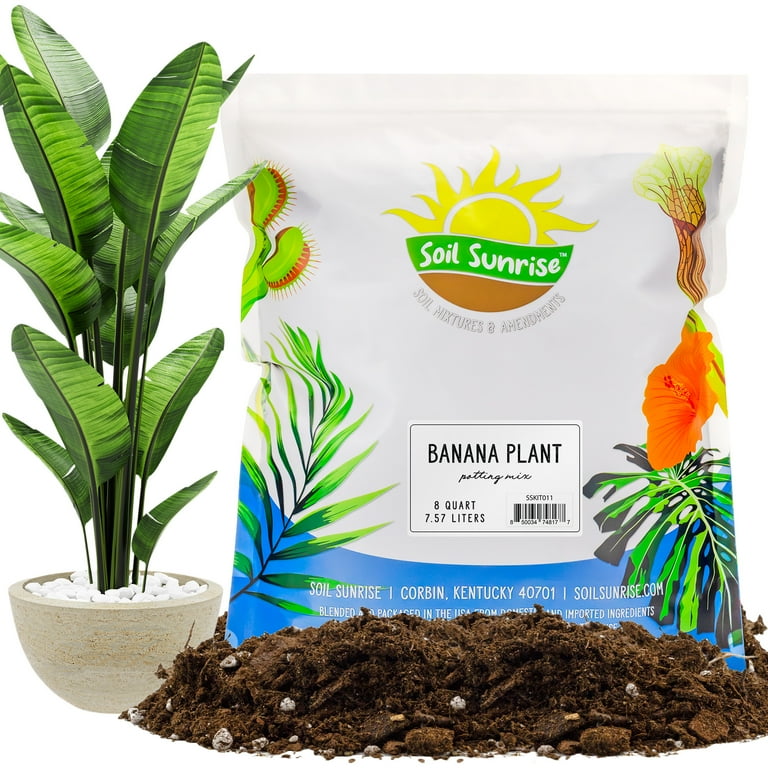 Banana tree sale fertilizer