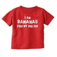 thumbnail image 1 of Bananas Big Sister Cute Little Sis Toddler Boy Girl T Shirt Infant Toddler Brisco Brands 18M, 1 of 1