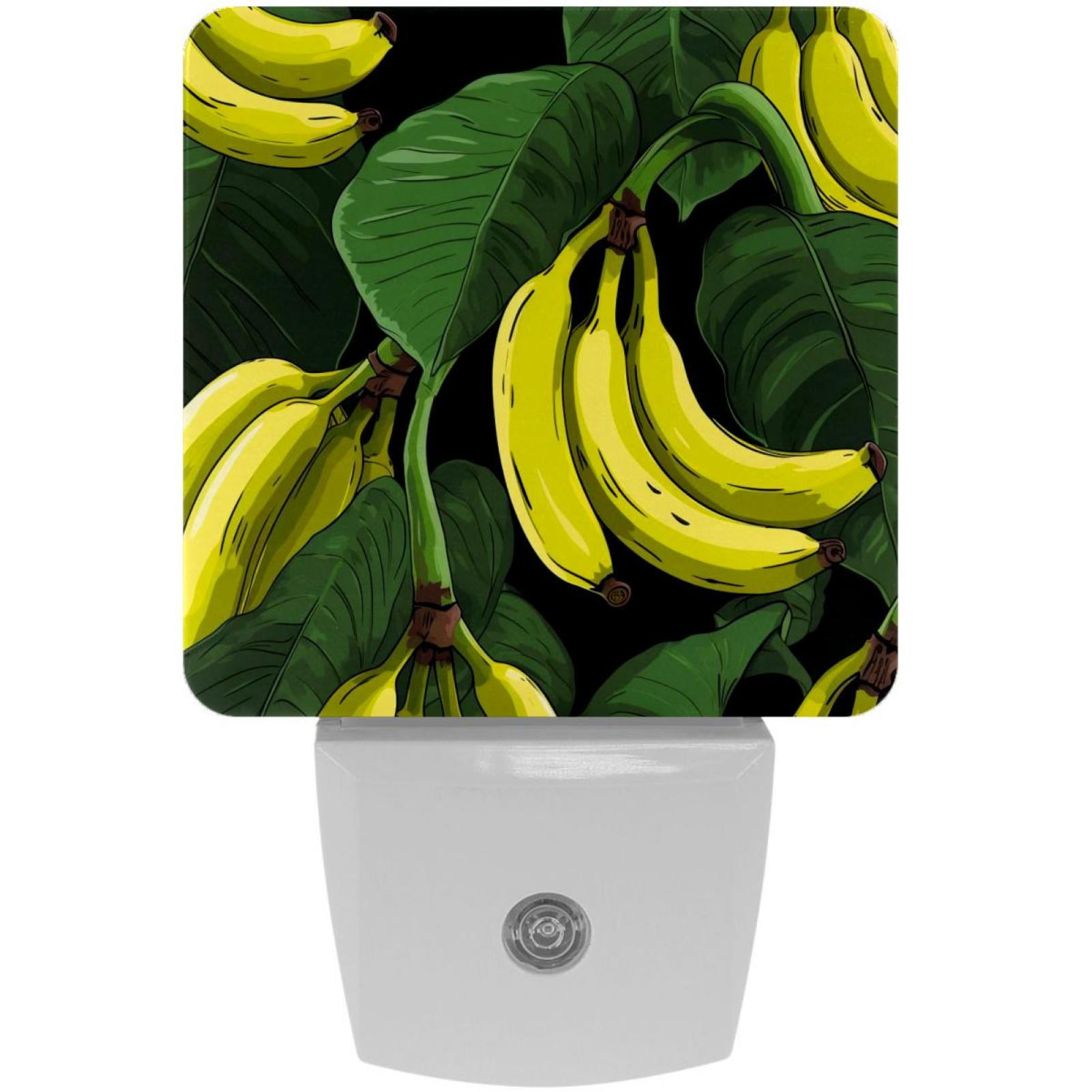 Bananas LED Square Night Lights Elegant and Energy Efficient Lighting