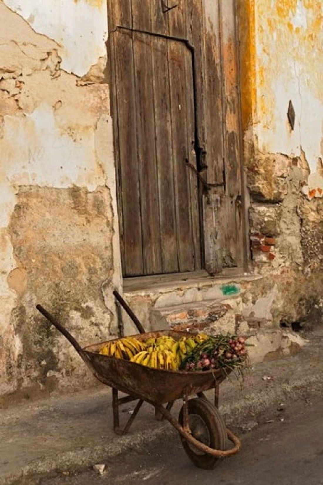 Bananas in wheelbarrow Havana Cuba Canvas Art - Adam Jones DanitaDelimont (13 x 19)
